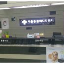 대박이집