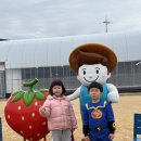 라라유팜
