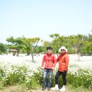 2023년5월14일 함안 악양생태공원. 함안 강나루생태공원 이미지