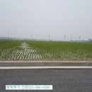 궁리마을진입로 네이버블로그