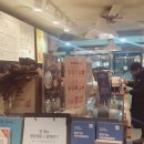 이디야커피중계 이미지