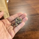 쿰쿰펫푸드 이미지