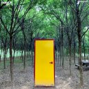 태진목장 이미지