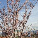 원주천1길 이미지