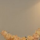 사우스사계 이미지