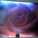 오페라모텔 이미지