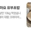 멘야네코 이미지