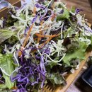 피반령송어나라 이미지