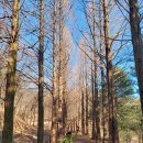 원주굽이길 원8코스 흥업캠퍼스낭만길 이미지