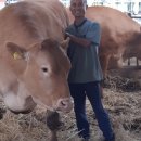 삼성한우농장 이미지