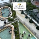 청수탕 - 완도군 장보고대로248번길 31 | [부산 물놀이] 해운대 '클럽디오아시스' 내돈내산ㅣ오션뷰 워터파크 솔직후기ㅣ청수탕부터 찜질방까지_2탄