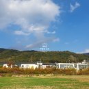 강서무도학원 네이버블로그
