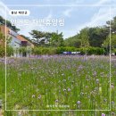 안면읍사무소 | 태안 안면도 자연휴양림 예약 입장료 여행코스 수목원