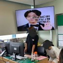 싸인아이 이미지