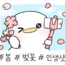 늘조은부동산공인중개사사무소 이미지