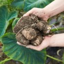 곡성 국립농산물품질관리원 이미지