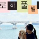 세한2호 이미지