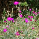 꽃소아청소년과의원 이미지