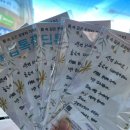 인셀덤샛별골드