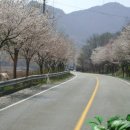 정관장홍삼창포점 이미지