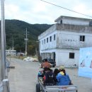 하야루비 이미지