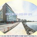 유탑유블레스 | 제주여행 필수코스! 유탑 유블레스 호텔 제주 함덕 솔직 후기 &amp; 호텔추천