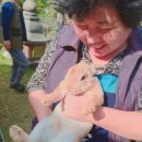 강촌걸리버여행기 이미지