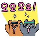 요요 봉담점 이미지