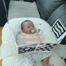 온초점 이미지