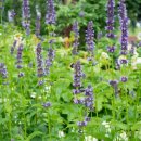 천지한의원 이미지