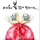 경희대 멘토 태권도 이미지