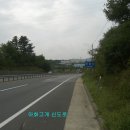 서오리 이미지