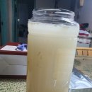 윈당구장 | 막걸리 하안~잔~ 윈썸원 원데이 수제 막걸리