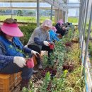 단양읍사무소 이미지