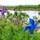 성당포구마을 이미지