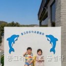 동그라미 키즈 풀빌라 아이들과 함께한 특별한 물놀이 경험
