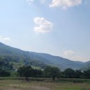 지전천 네이버블로그