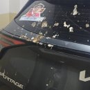 디테일링스토리 | 인천 부평 손세차 십정동 100% 만족하는 디테일링하다 부평본점 세차 후기