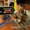 팔탄초대방분교 이미지