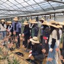 경남농장 이미지