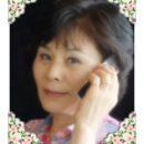 비비추꽃집 이미지