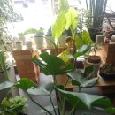 천남농장 이미지