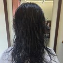 아산 여자머리 허쉬컷에 펌을 하면? 오아르헤어 찐후기