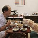 나만 없어 고양이 이미지