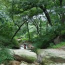 동천 이미지