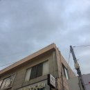 통큰딱따구리 이미지