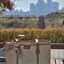 쓰고 메고 | 가성비 데일리숄더백 후기