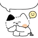 오월의 왁싱 이미지