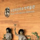 양양로컬