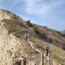 서풍 Daum카페